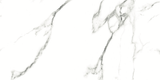 CARRARA MATT 634 300x600