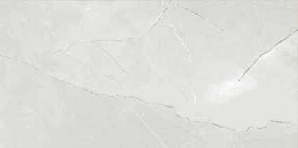 ASTRA LIGHT GREY MATT 300x600
