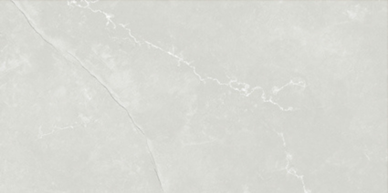 ASTRA LIGHT GREY MATT 300x600