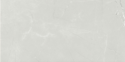 ASTRA LIGHT GREY MATT 300x600