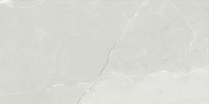 ASTRA LIGHT GREY MATT 300x600