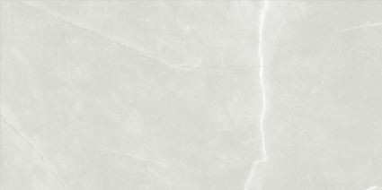 ASTRA LIGHT GREY MATT 300x600