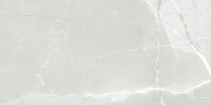 ASTRA LIGHT GREY MATT 300x600