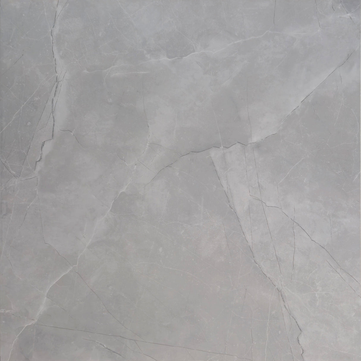 ASTRA LIGHT GREY POLISHED 600x600