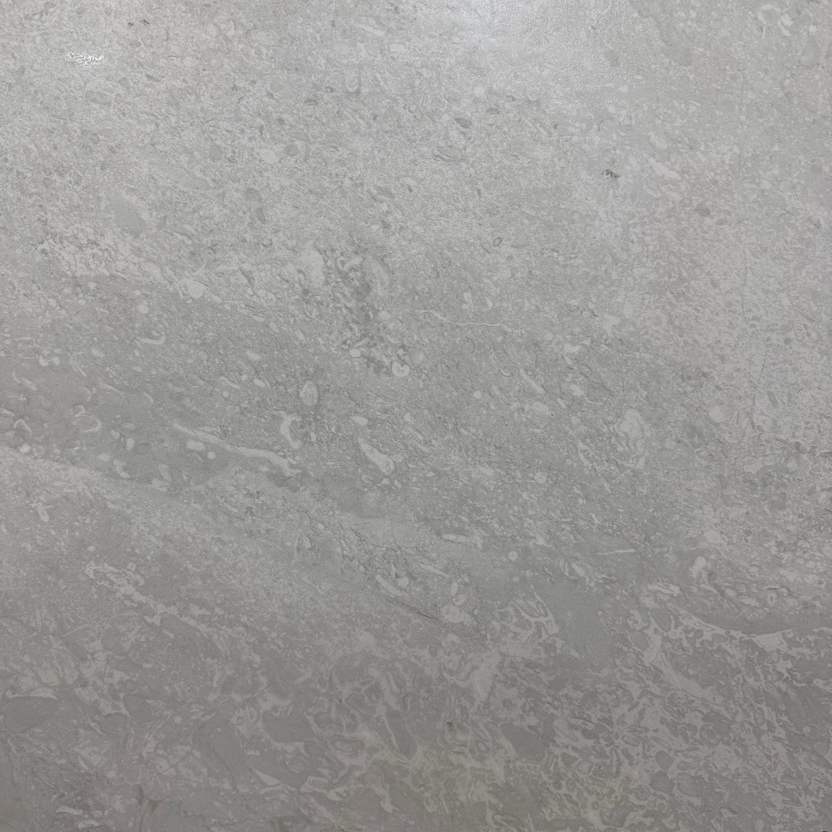 6S8913M LAPPATO 600x600