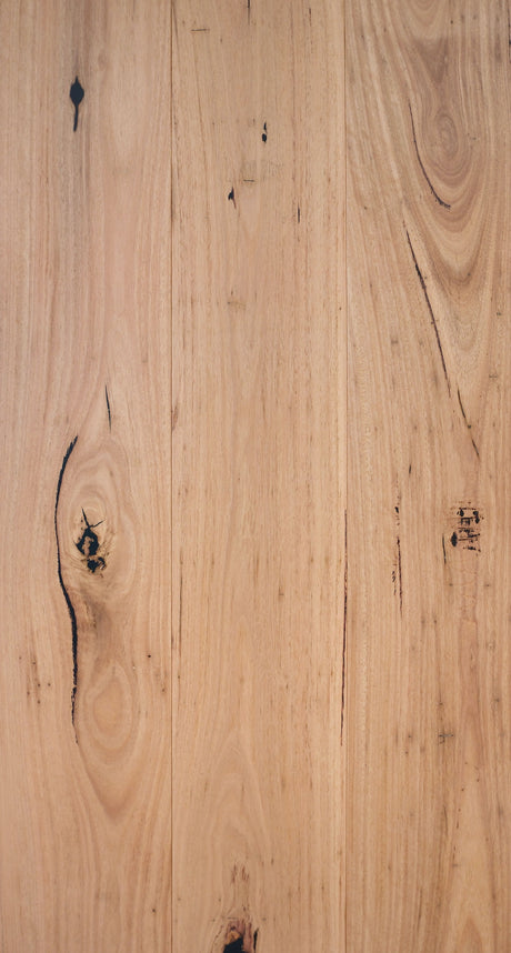 Maywood Bushland Blackbutt engineered flooring