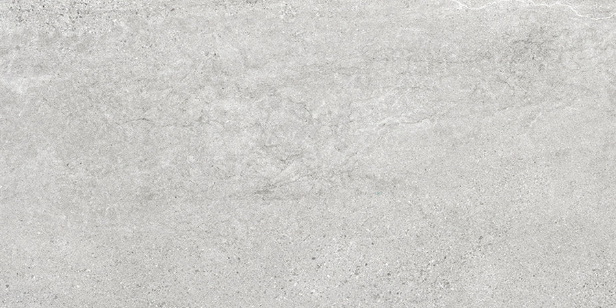 ASPEN SILVER LAPPATO 300x600