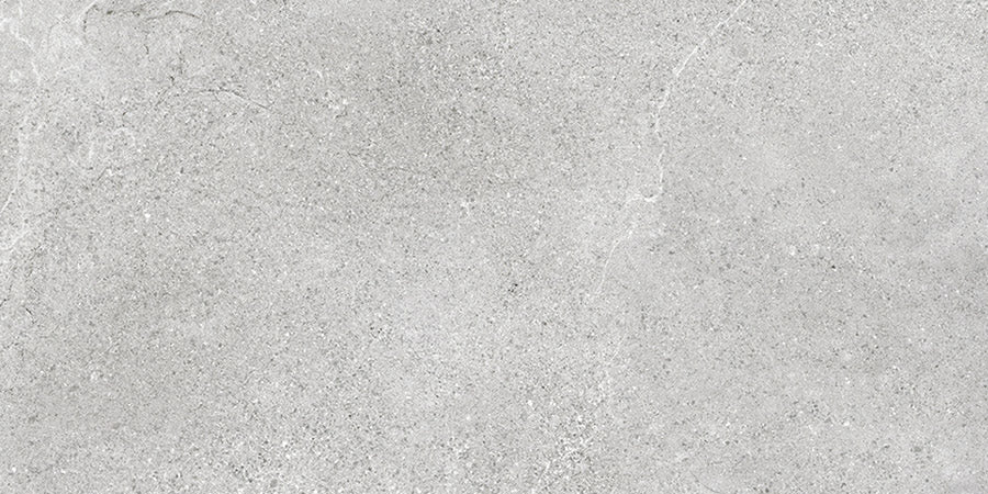 ASPEN SILVER LAPPATO 300x600