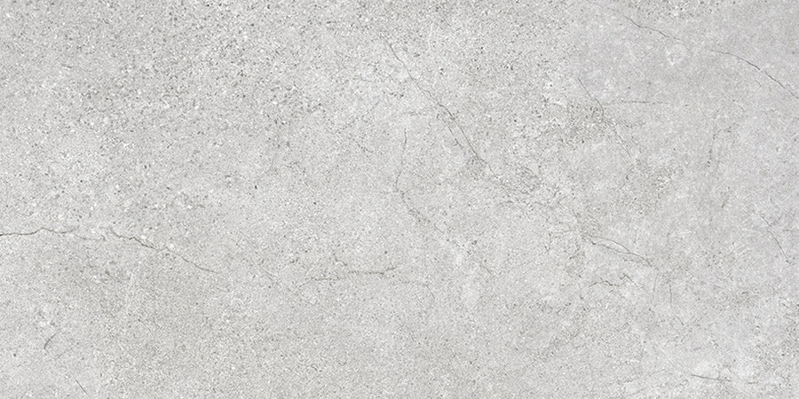ASPEN SILVER LAPPATO 300x600