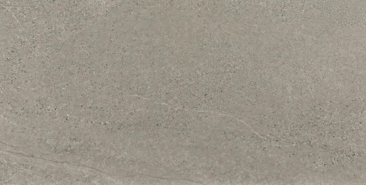 ASPEN SILVER LAPPATO 300x600