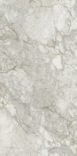 BD037G GLOSS 600x1200