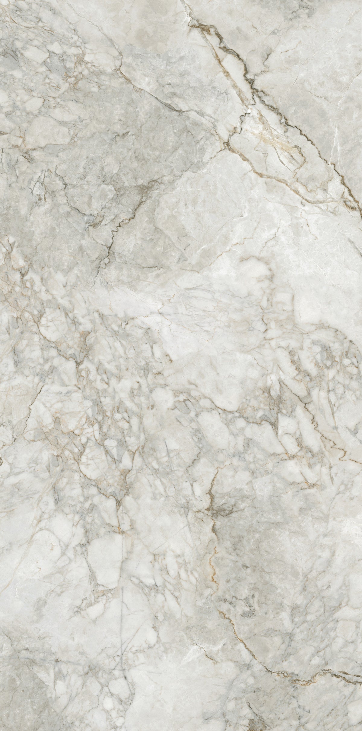 BD037G GLOSS 600x1200