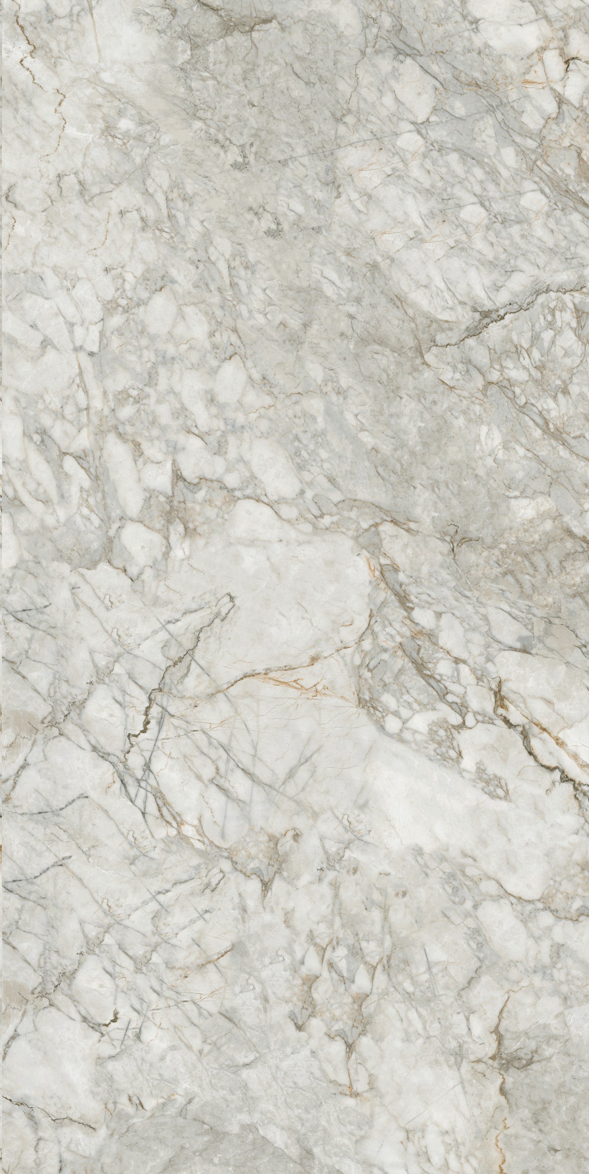 BD037G GLOSS 600x1200