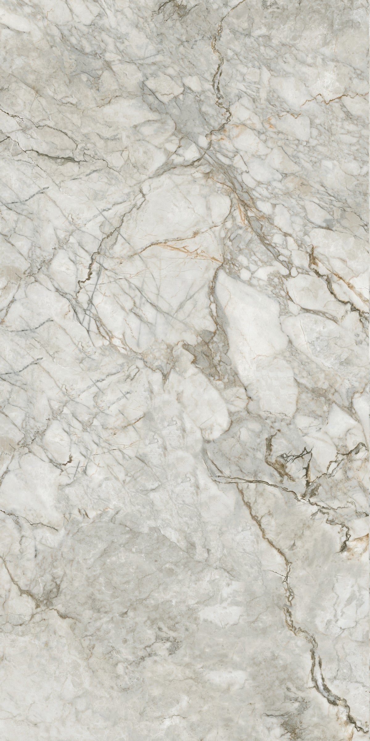 BD037G GLOSS 600x1200