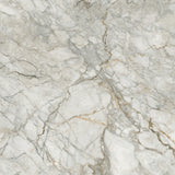 BD037G GLOSS 600x600