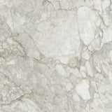 BD037G GLOSS 600x600