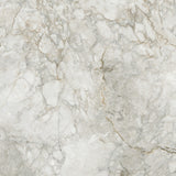 BD037G GLOSS 600x600