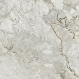 BD037G GLOSS 600x600