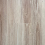 BLACKBUTT HYBRID - TP11792