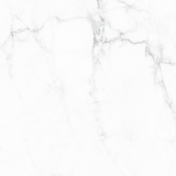 CALACATTA WHITE GLOSSY 600x600