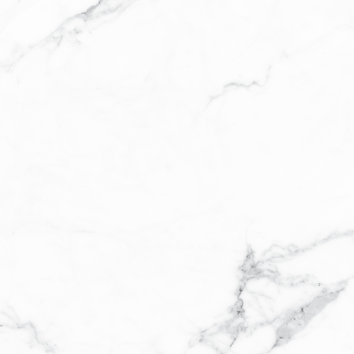 CALACATTA WHITE GLOSSY 600x600