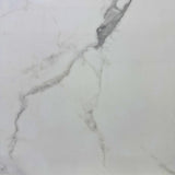 CALACATTA WHITE GLOSSY 600X600