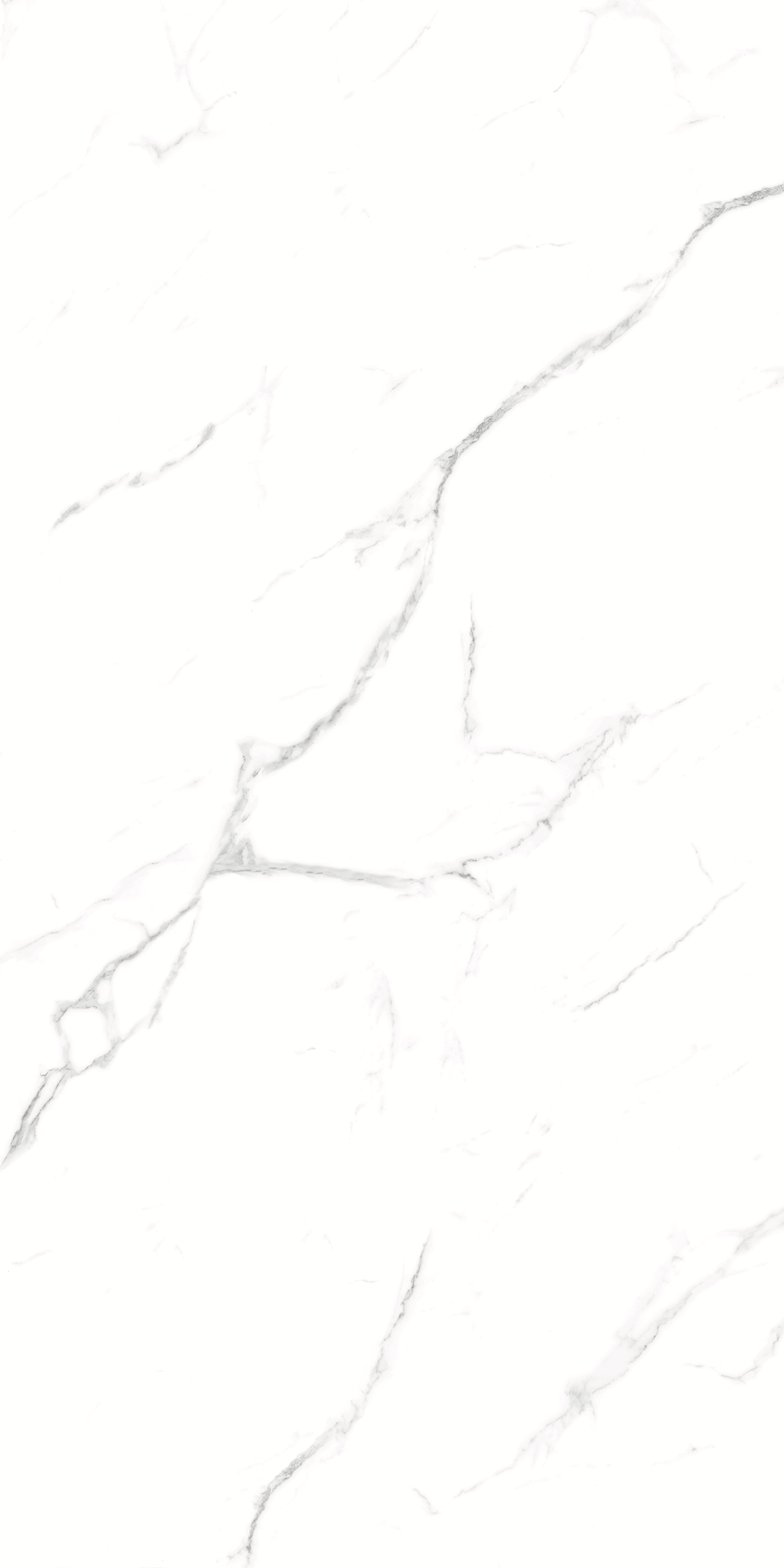 CARRARA 634 GLOSS 600x1200