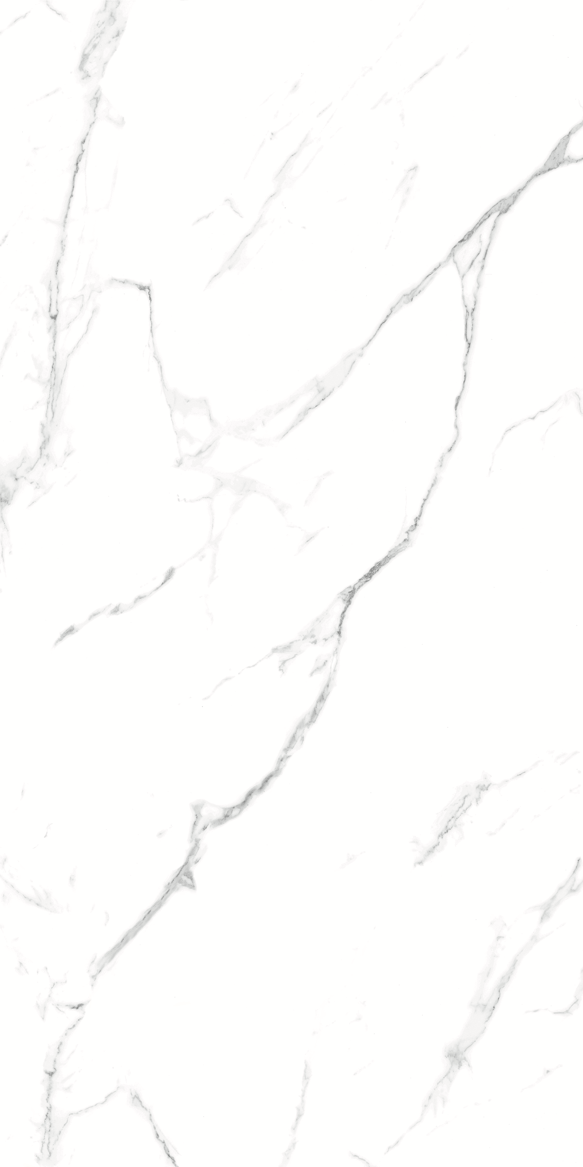 CARRARA 634 GLOSS 600x1200