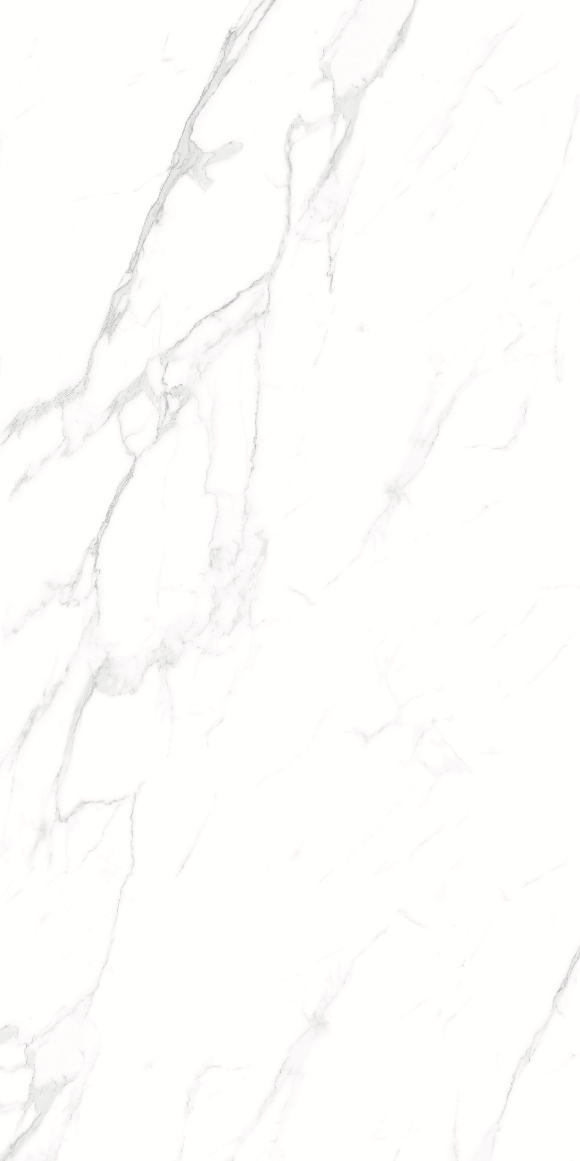 CARRARA 634 GLOSS 600x1200