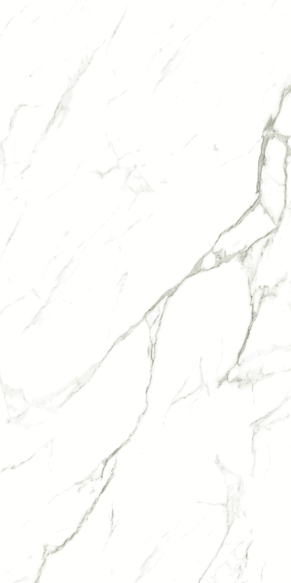 CARRARA 634 GLOSS 600x1200