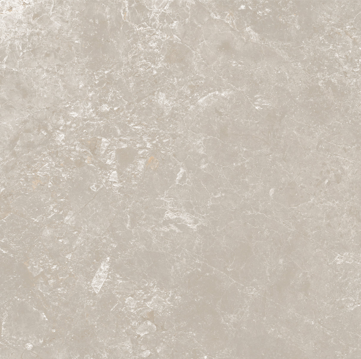 CHAMPAGNE 600x600