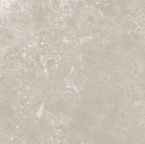 CHAMPAGNE 600x600