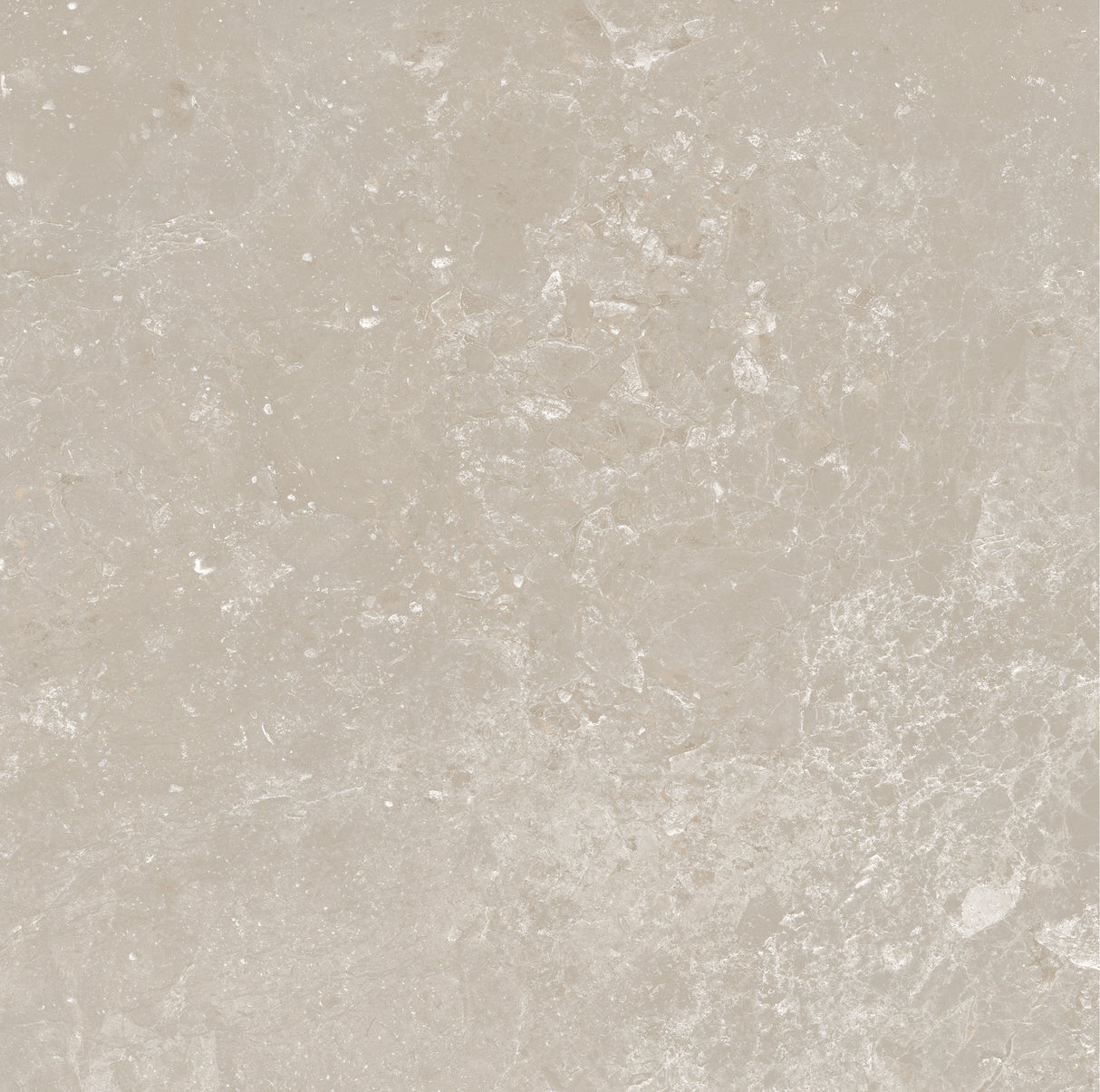 CHAMPAGNE 600x600