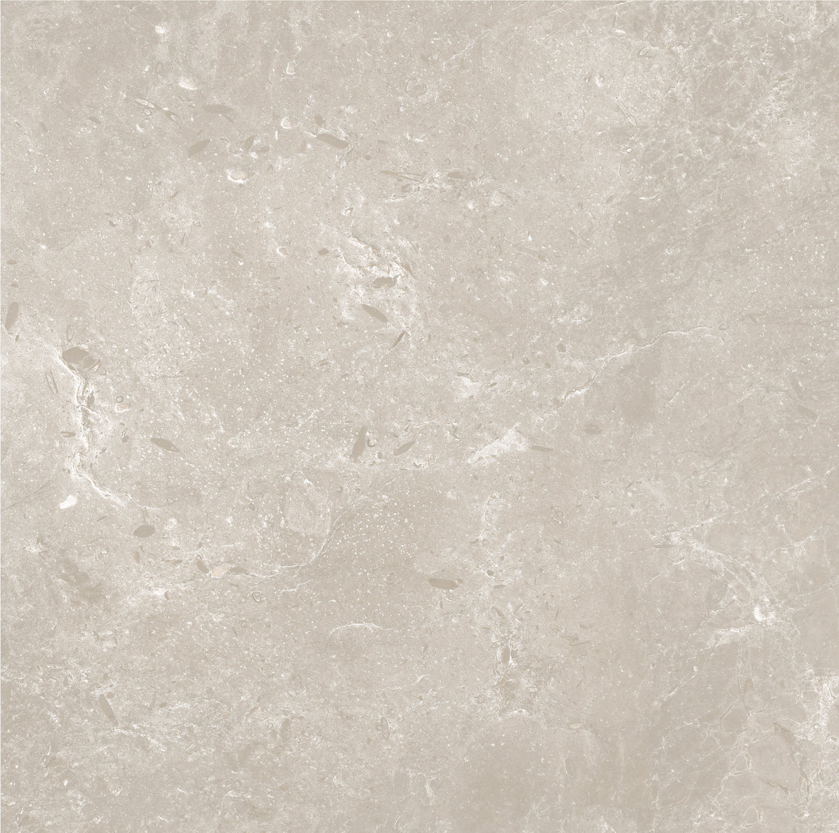 CHAMPAGNE 600x600