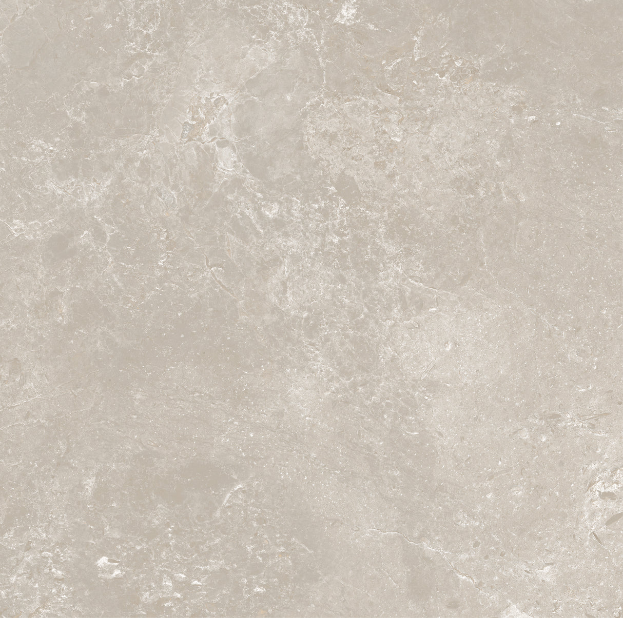 CHAMPAGNE 600x600