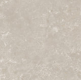 CHAMPAGNE 600x600