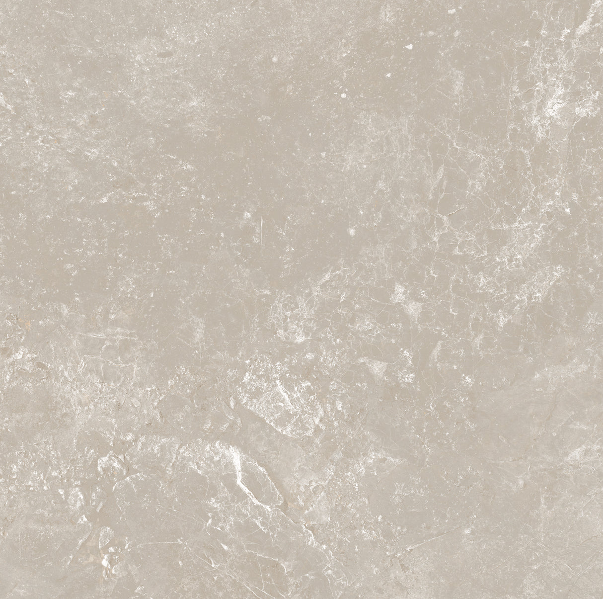 CHAMPAGNE 600x600