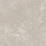 CHAMPAGNE 600x600