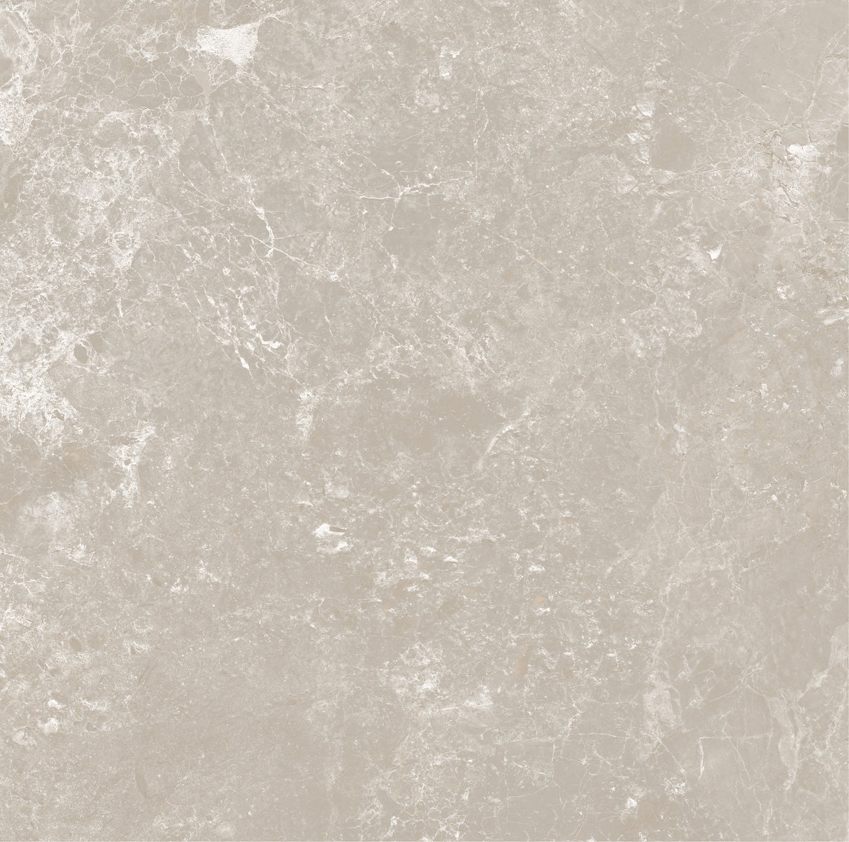 CHAMPAGNE 600x600