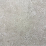 CHAMPAGNE R10 600x600