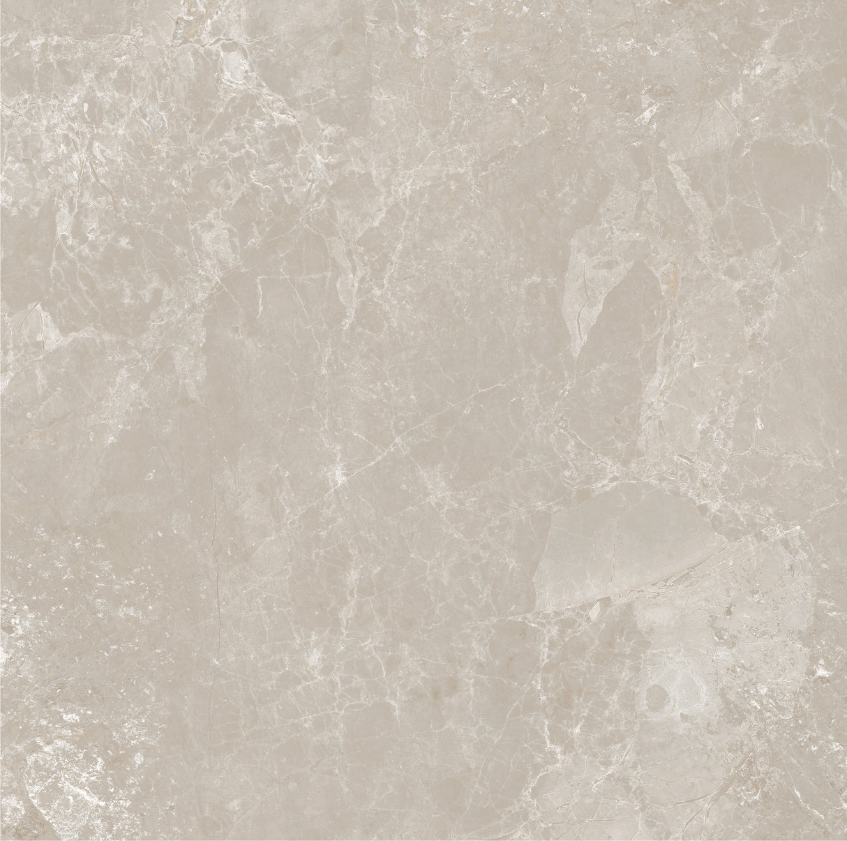 CHAMPAGNE 600x600