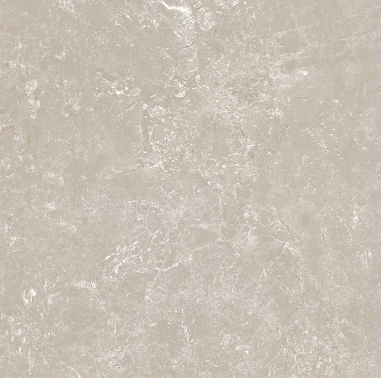 CHAMPAGNE 600x600