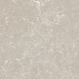 CHAMPAGNE 600x600