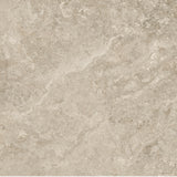 ANCIENT TRAVERTINE DARK 600x600