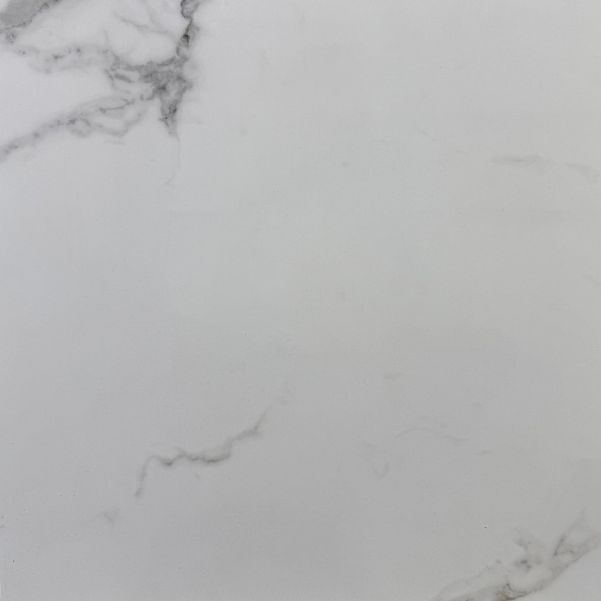 CALACATTA WHITE GLOSSY 600X600