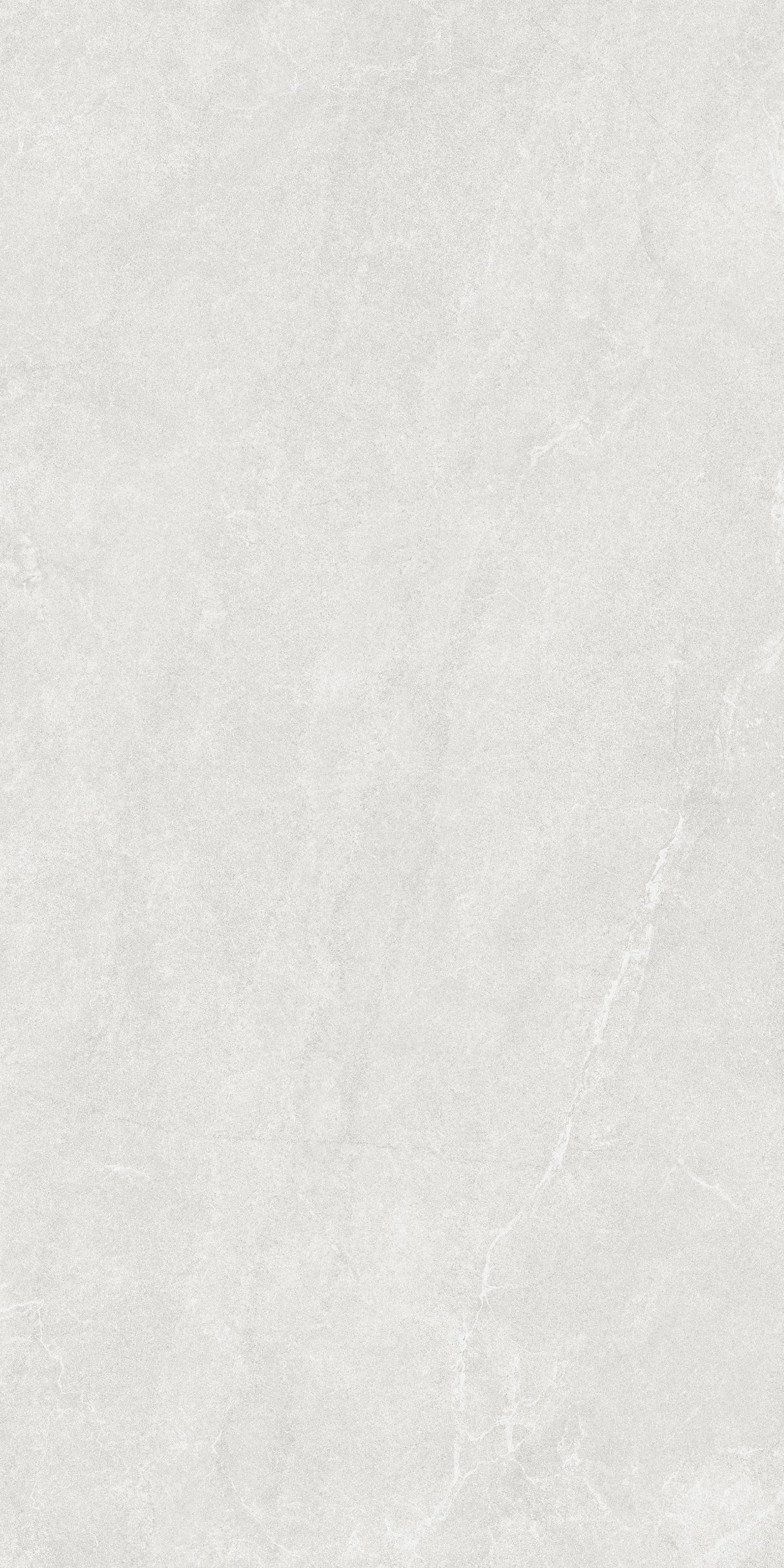 SM12602 600x1200
