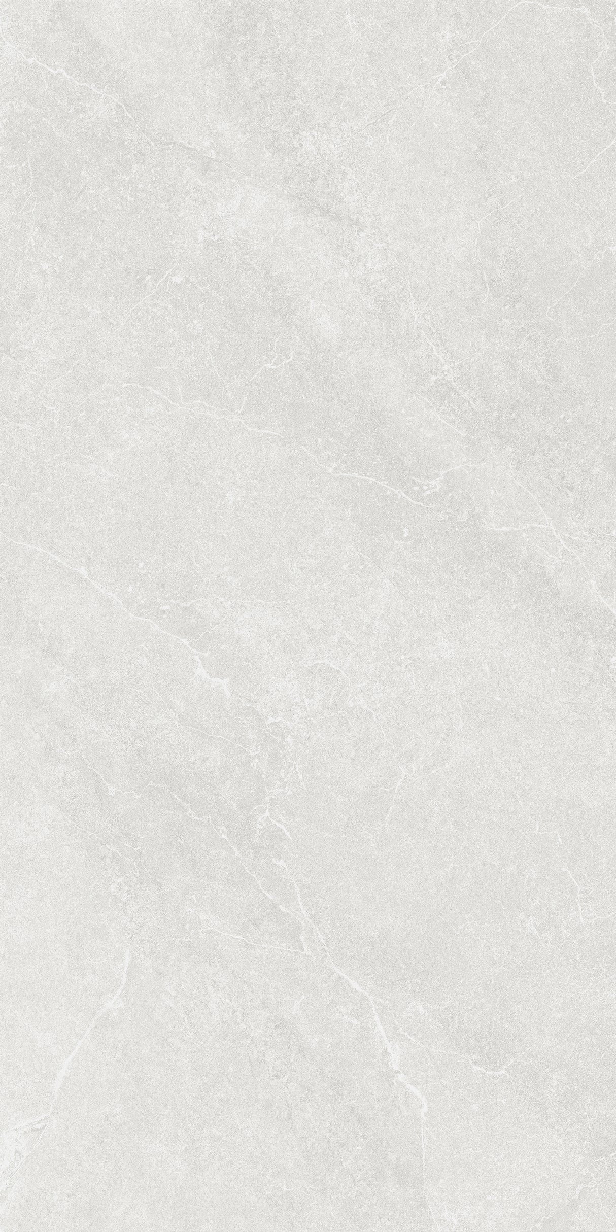 SM12602 600x1200