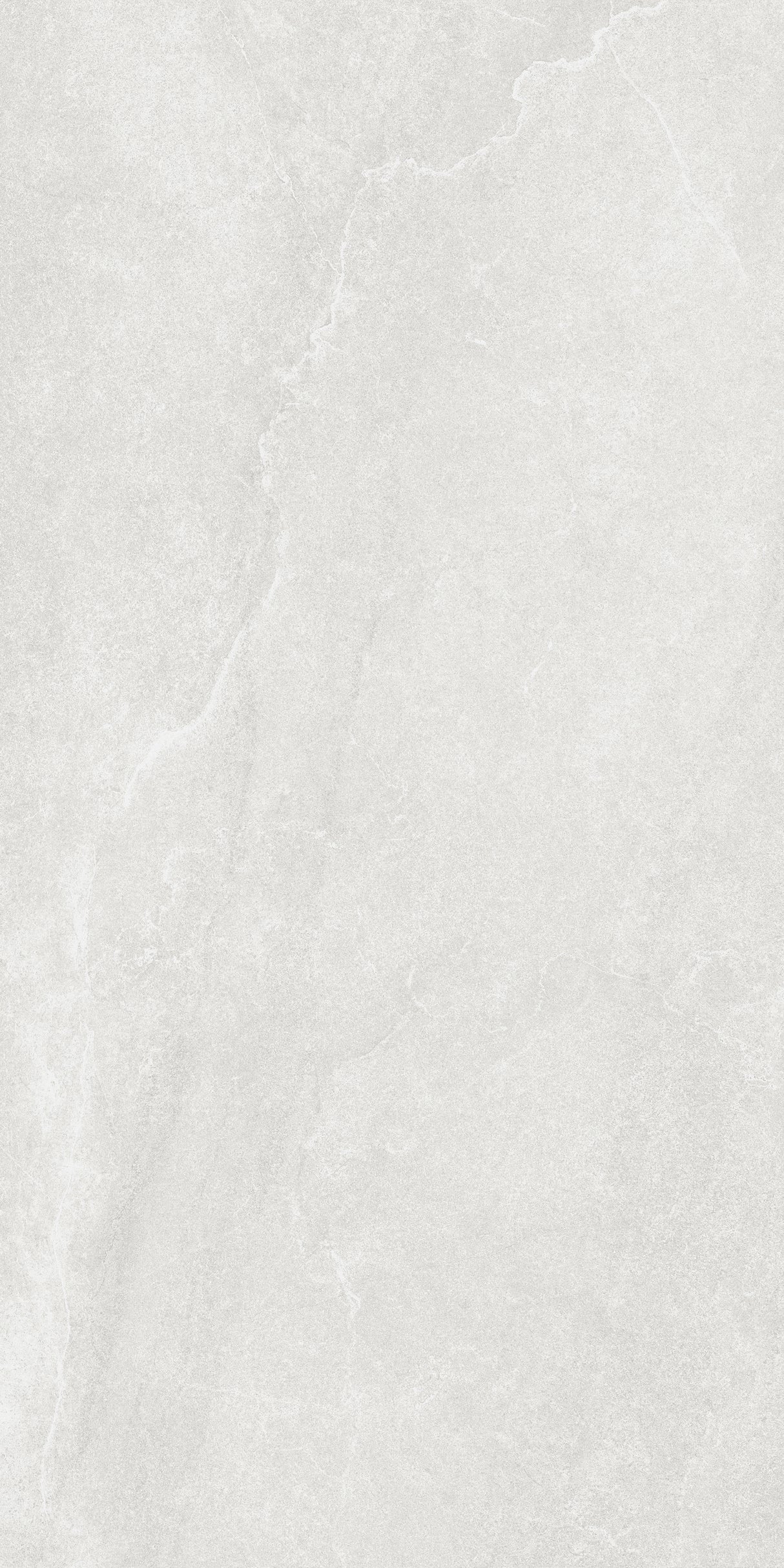 SM12602 600x1200