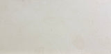 MOONSTAR IVORY MATT 300X600