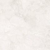 LIMESTONE GLOSS 600x600